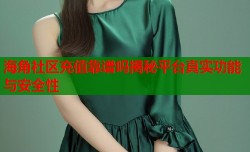 海角社区充值靠谱吗揭秘平台真实功能与安全性