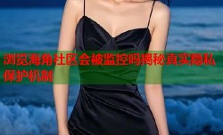 浏览海角社区会被监控吗揭秘真实隐私保护机制