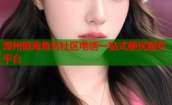 漳州镇海角坑社区电话一站式便民服务平台