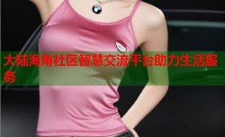 大陆海角社区智慧交流平台助力生活服务