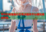 漳州东镇海角社区电话服务平台便民高效体验
