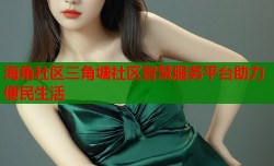 海角社区三角塘社区智慧服务平台助力便民生活