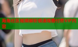 海角社区视频解析极速观看付费VIP内容
