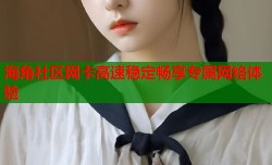 海角社区网卡高速稳定畅享专属网络体验
