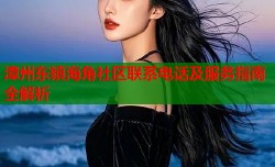 漳州东镇海角社区联系电话及服务指南全解析