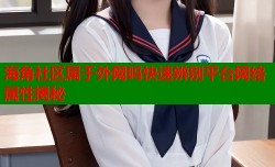 海角社区属于外网吗快速辨别平台网络属性揭秘