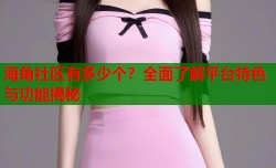海角社区有多少个？全面了解平台特色与功能揭秘