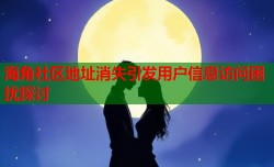 海角社区地址消失引发用户信息访问困扰探讨