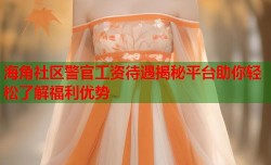 海角社区警官工资待遇揭秘平台助你轻松了解福利优势