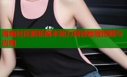 海角社区解析脚本助力高效数据挖掘与应用