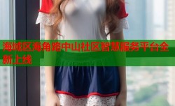 海域区海角路中山社区智慧服务平台全新上线
