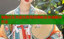 海角社区充值失败原因揭秘及快速解决方法