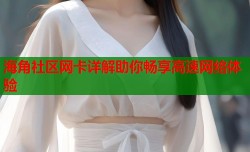 海角社区网卡详解助你畅享高速网络体验