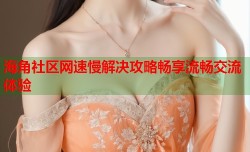 海角社区网速慢解决攻略畅享流畅交流体验