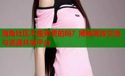 海角社区不是免费的吗？揭秘高效交流与资源共享平台