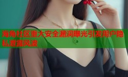 海角社区重大安全漏洞曝光引发用户隐私泄露风波