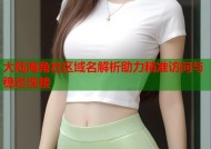 大陆海角社区域名解析助力精准访问与稳定连接