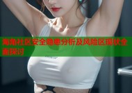 海角社区安全隐患分析及风险区现状全面探讨