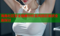 海角社区安全隐患分析及风险区现状全面探讨