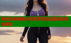 漳州东镇海角社区联系电话及服务信息全解析