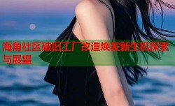 海角社区破旧工厂改造焕发新生机探索与展望