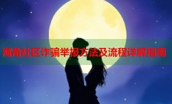 海角社区诈骗举报方法及流程详解指南