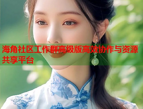 海角社区工作群高级版高效协作与资源共享平台  第2张