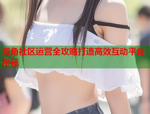 海角社区运营全攻略打造高效互动平台秘籍  第1张
