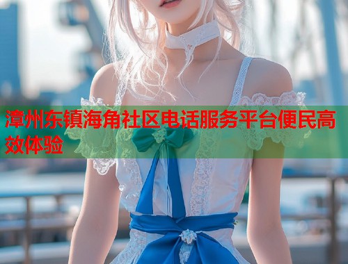 漳州东镇海角社区电话服务平台便民高效体验  第1张