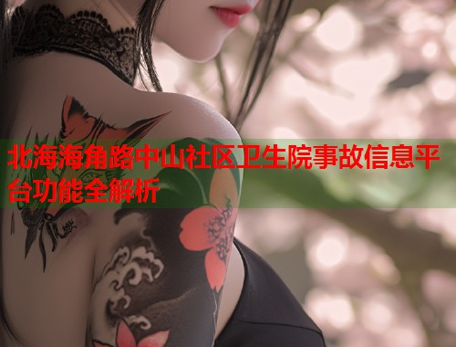 北海海角路中山社区卫生院事故信息平台功能全解析  第1张