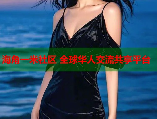 海角一米社区 全球华人交流共享平台  第1张