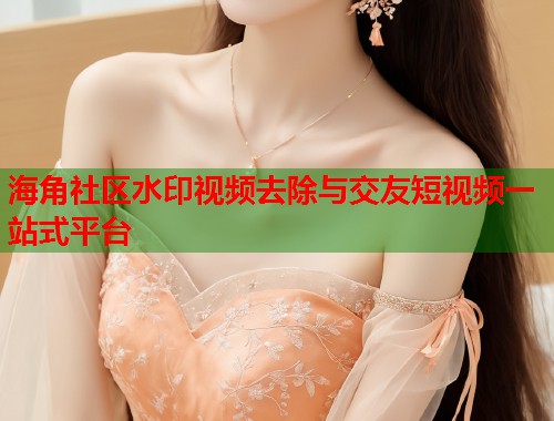 海角社区水印视频去除与交友短视频一站式平台  第2张